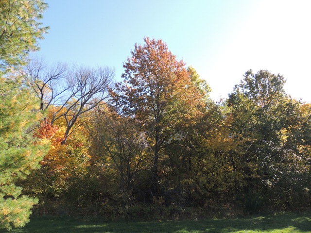 [DSCN0488%255B3%255D.jpg]