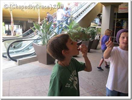 IMG_0245 IMG_0245