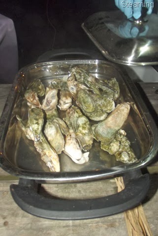[oysters0236.jpg]