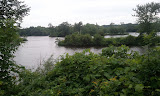 2011-08-16 12.56.28.jpg