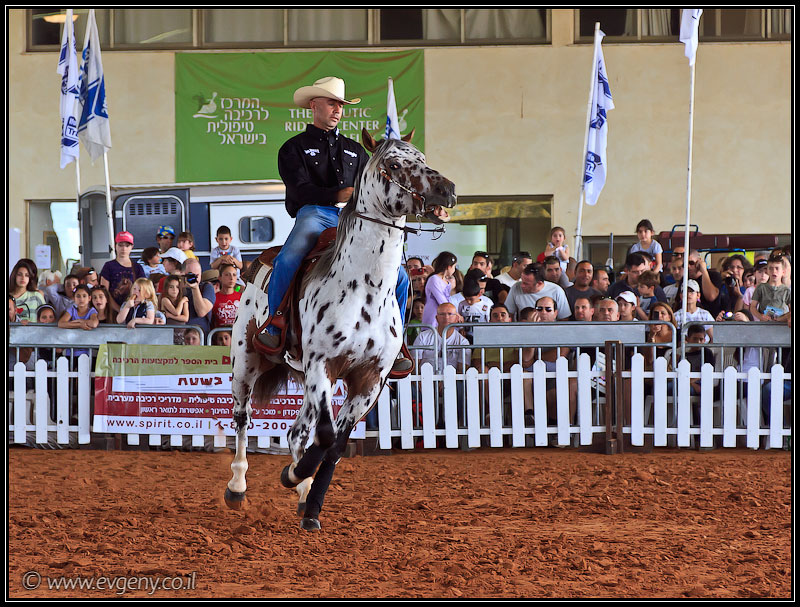 il/Фото: Stallion Show 2011 (20110416 stllion show 052 2169)