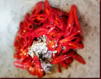 edited sambal goreng 4 edited sambal goreng 4
