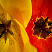 selection-244.jpg