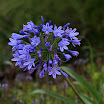 IMG_9826N2.JPG