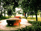 DSCN30841.jpg
