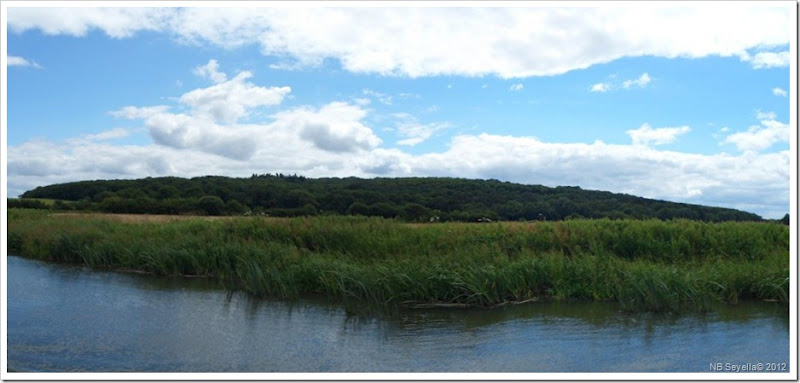 Wytham Great Wood Pano