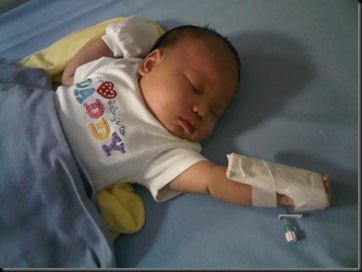 IMG01161-20120122-0916