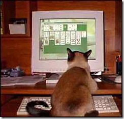 cat-solitaire-view (Small) cat-solitaire-view (Small)