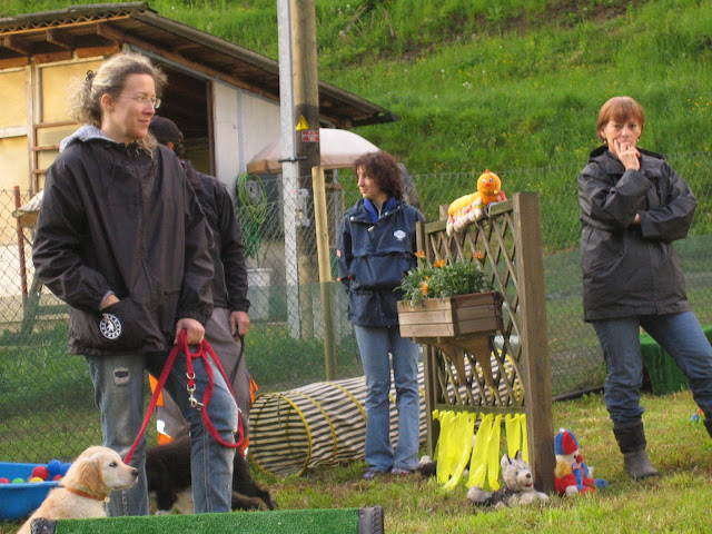 Copia di Amici a 6 Zampe 075.jpg