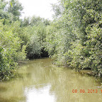 DSCN7276.JPG