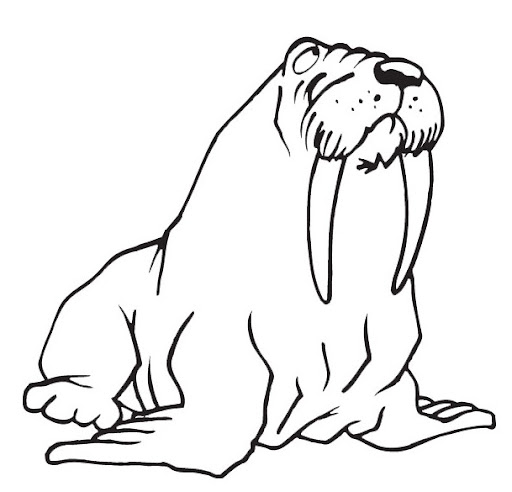 dibujo leon marino imagui