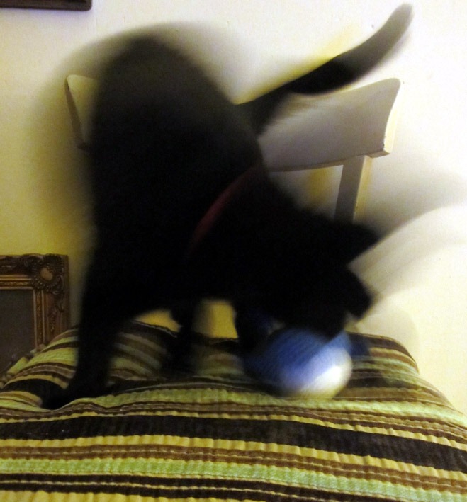 [IMG_2740%255B4%255D.jpg]