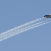 T6.jpg