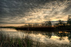 Blue Grass Sunset no.2.jpg
