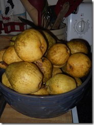 pear08