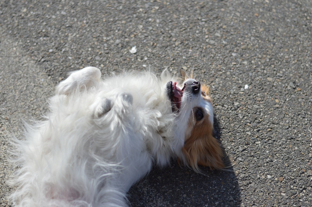 [DSC_0941%255B4%255D.jpg]