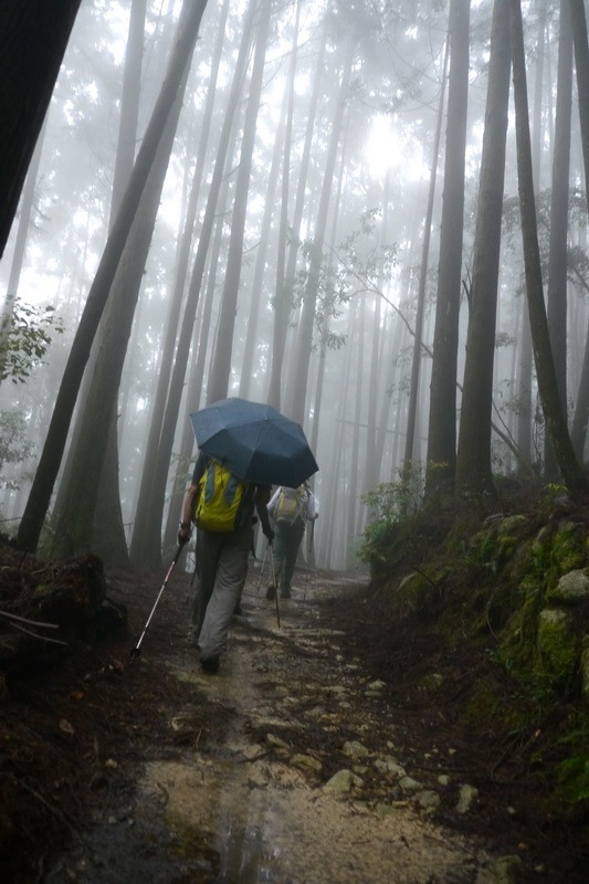 2013_0413 橫嶺山木馬古道_030 2013_0413 橫嶺山木馬古道_030