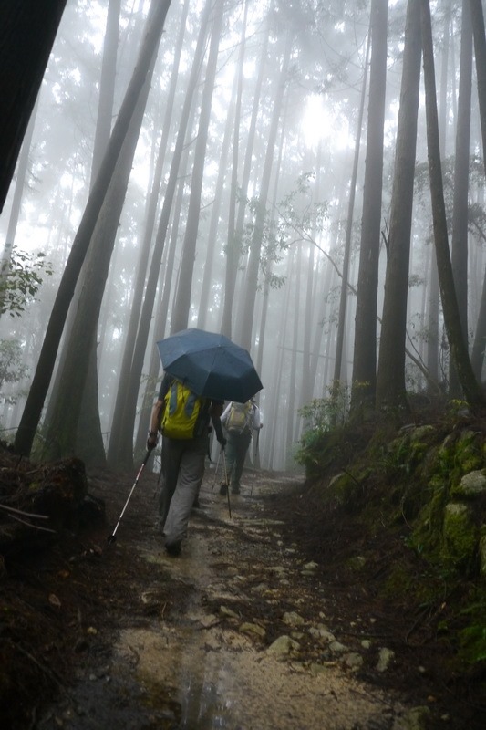 2013_0413 橫嶺山木馬古道_030