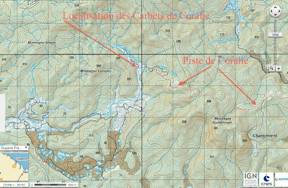 Les Carbets de Coralie : carte topographique IGN