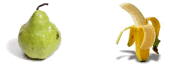 Image Dimension: 172x67 :: Health - Very Very Important Tips Health - Very Very Important Tips