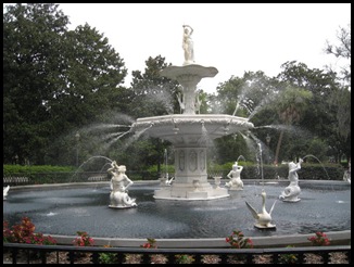 IMG_5230 IMG_5230