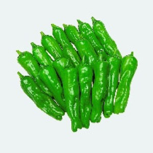 [image%255B20%255D.png]