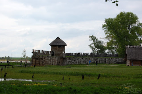 DSC_0638.JPG DSC_0638.JPG