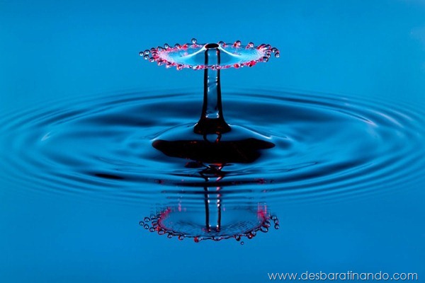 liquid-drop-art-gotas-caindo-foto-velocidade-hora-certa-desbaratinando (195)