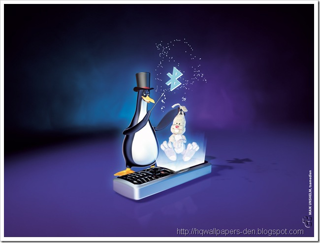 Funny-Penguins-Wallpapers (12)