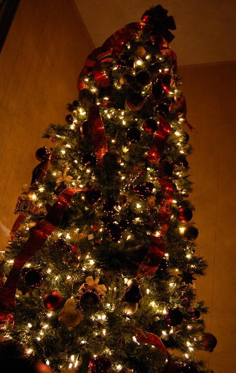 [DSC_0708%255B4%255D.jpg]