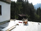 Foto anzeigen