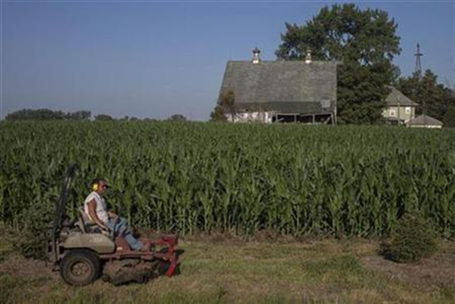 A man mows grass in front of a drought-stricken corn field in Welton, Iowa, 12 July 2012. Adrees Latif / Reuters