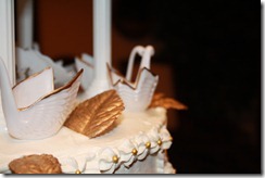 IMG_1189 IMG_1189