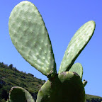 totem siciliano - foto Domenico Oliveri