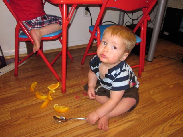[messy%2520oranges%2520logan%255B8%255D.jpg]
