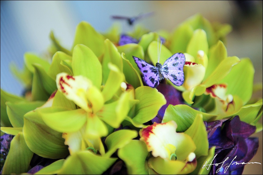 [7-hoffmann-photo5.jpg]