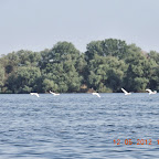 DSCN0273.JPG