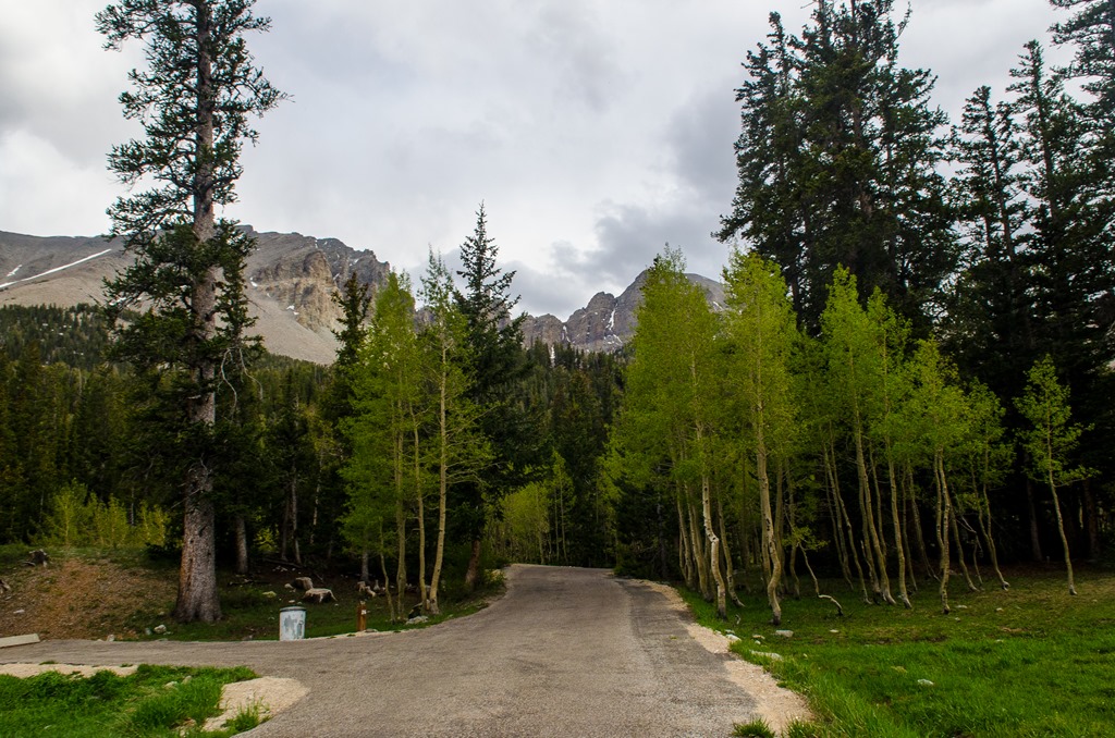 [Great%2520Basin-27%255B3%255D.jpg]