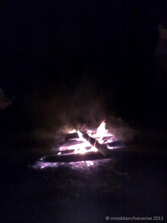 [03122011623%255B3%255D.jpg]