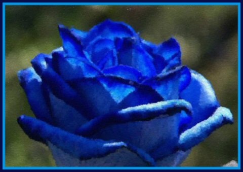 [DEEP%2520BLUE%2520ROSE%2520RS2%255B3%255D.jpg]