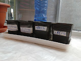 2012-01-19 16.07.28.jpg