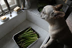 I suppose it's too early yet for the asparagus in Martha's garden.