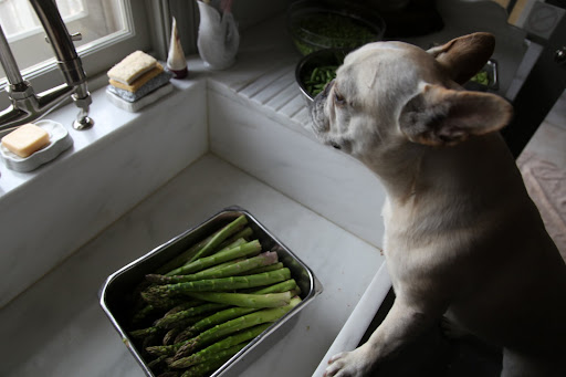I suppose it's too early yet for the asparagus in Martha's garden.