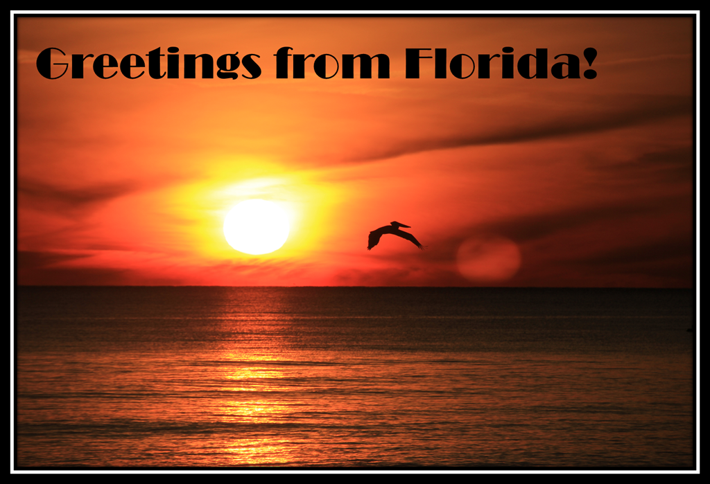 [Greetings-Florida3.png]