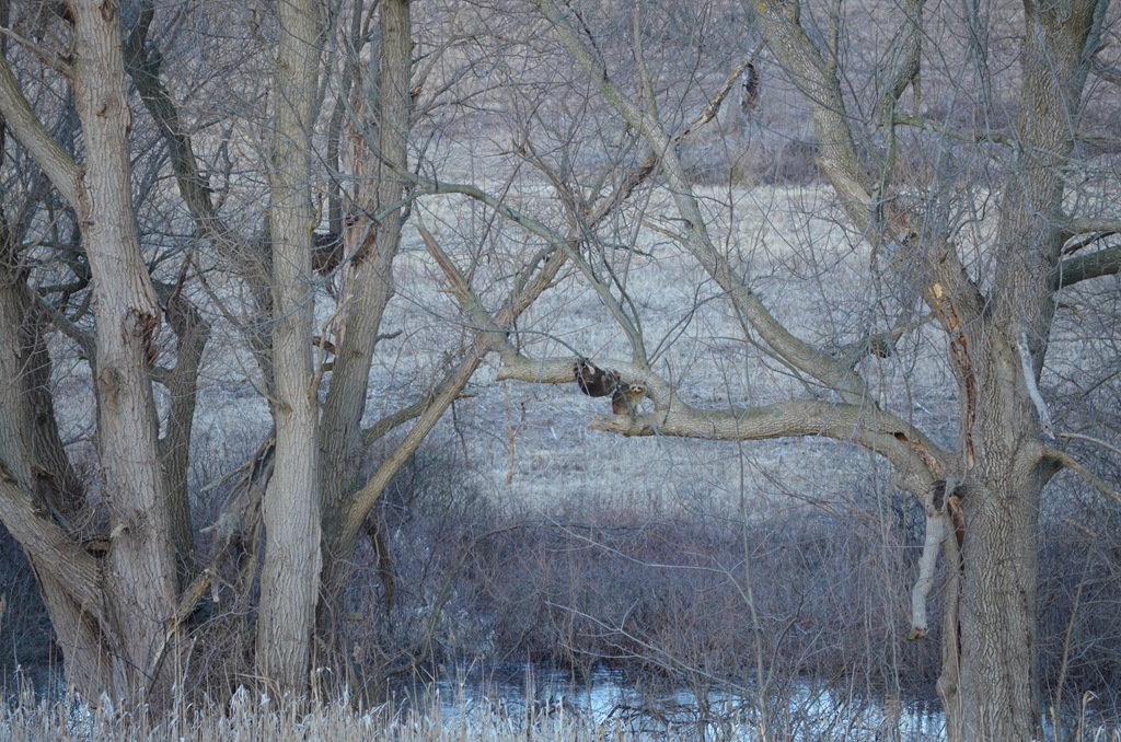 [DSC_0048%255B4%255D.jpg]