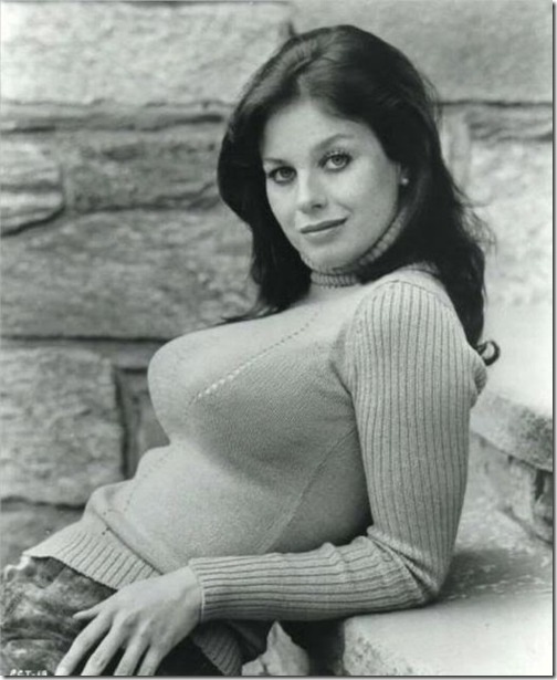 hot sweater puppies 18