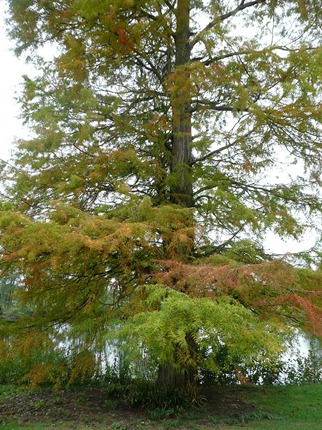 Cliveden