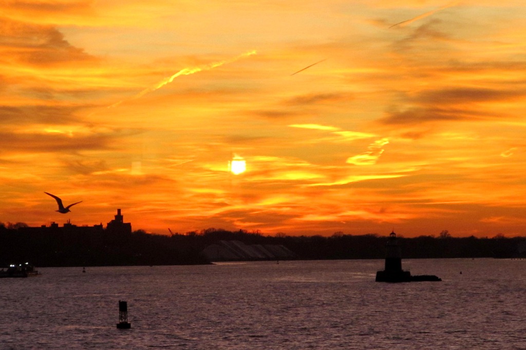 [Staten%2520Island%2520Ferry%252C%2520NYC%2520skyline%252C%2520and%2520Statue%2520of%2520Liberty%2520with%2520the%2520Godbys_0004%255B4%255D.jpg]