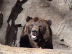 denver_zoo