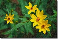 AE-WatercolorSponge-10-1200 AE-WatercolorSponge-10-1200